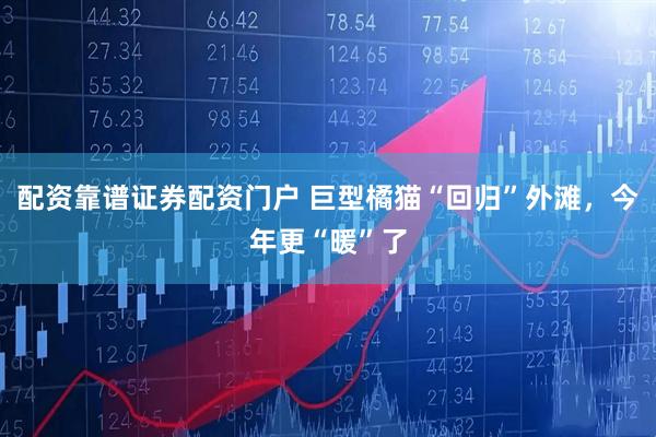 配资靠谱证券配资门户 巨型橘猫“回归”外滩，今年更“暖”了